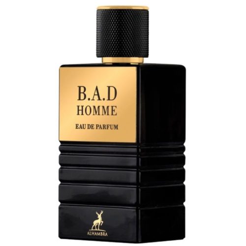 1320 Alhambra B A D HOMME 100ml