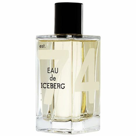 14633 iceberg eau de iceberg 74 pour femme hen ualetnaya voda 100ml