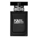 16463 karl lagerfeld karl lagerfeld pour homme uzh ualetnaya voda 100ml