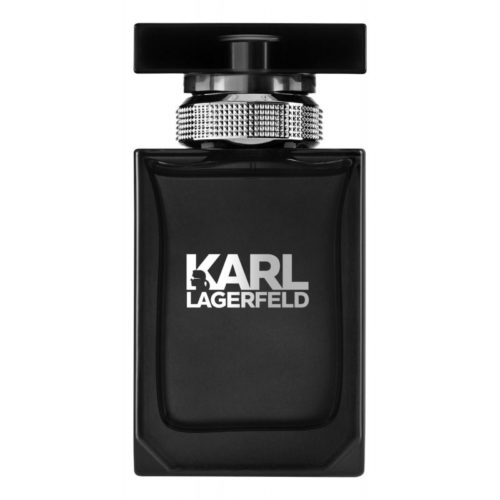 16463 karl lagerfeld karl lagerfeld pour homme uzh ualetnaya voda 100ml