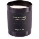 17771 laboratorio olfattivo legni co svecha 180g ester