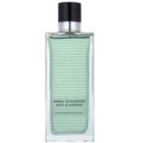 1802 Angel Schlesser ESPRIT DE GINGEMBRE 150ml