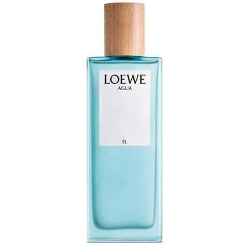 19591 loewe agua de loewe el uzh ualetnaya voda 100ml ester