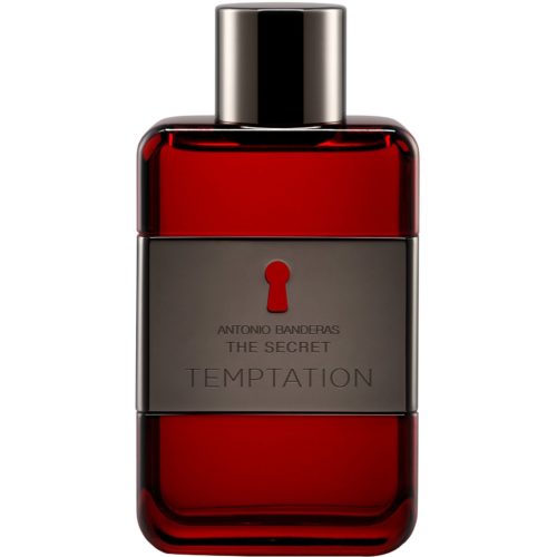 1994 Antonio Banderas THE SECRET TEMPTATION 100ml