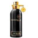 23102 montale oud island parfyum 100ml