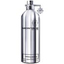 23232 montale vanille absolu hen arfyum 100ml