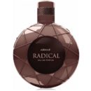 2465 Armaf RADICAL brown 100ml