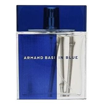 2495 Armand Basi IN BLUE POUR HOMME 100ml