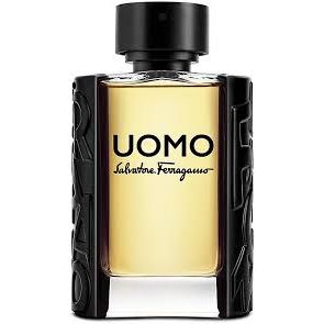 27935 salvatore ferragamo uomo ferragamo pour homme uzh ualetnaya voda 100ml