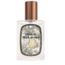 2860 Atelier Faye QUINCE BLACK CURRANT 30ml