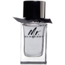 4568 Burberry MR BURBERRY 100ml