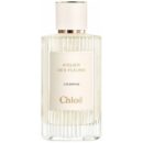 6542 Chloe ATELIER DES FLEURS CEDRUS 150ml