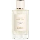 6553 Chloe ATELIER DES FLEURS MAGNOLIA ALBA 150ml