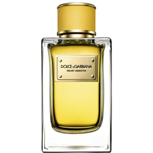 8763 Dolce Gabbana VELVET GINESTRA 50ml