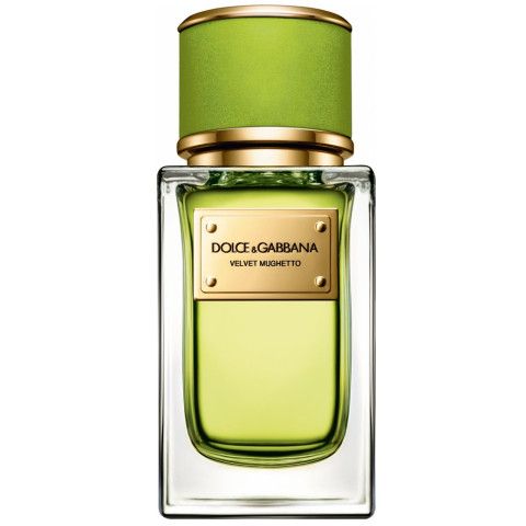 8773 Dolce Gabbana VELVET MUGHETTO 50ml